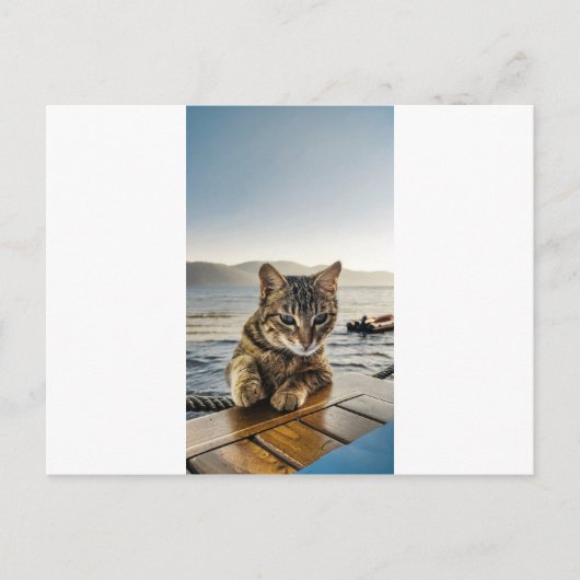 猫が言う ポストカード (正面)