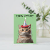 猫が誕生日の帽子をかぶり、頭上に炎 ポストカード (スタンド正面)
