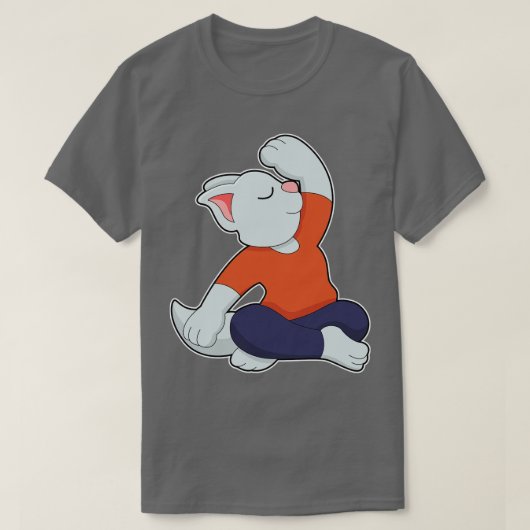 猫が足を組んでヨガをしているところ Tシャツ (デザイン正面)