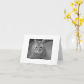 猫が… カード (黄色い花)