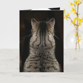 猫が「サプライズ！ハッピーバースデー」と叫ぶカード カード (黄色い花)