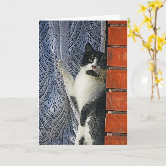 猫さやん カード (黄色い花)