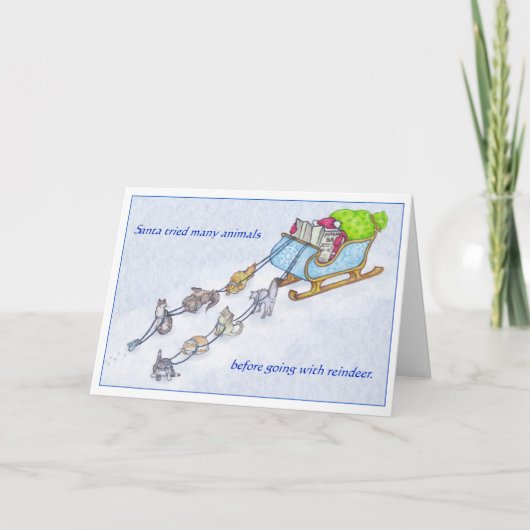 猫ぞり シーズンカード (正面)