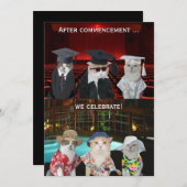 猫たおもしろいちカスタマイズ可能な卒業パーティー招待状 招待状 (正面/裏面)