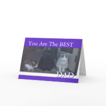 猫たちから来た父の幸せな日