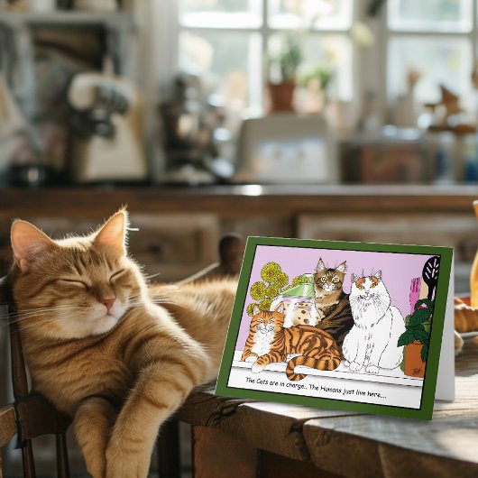 猫たちが担当している カード