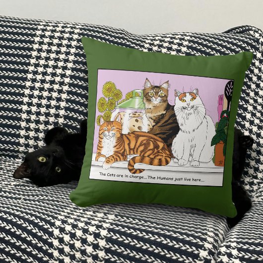 猫たちが担当している クッション