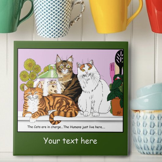 猫たちが担当している タイル