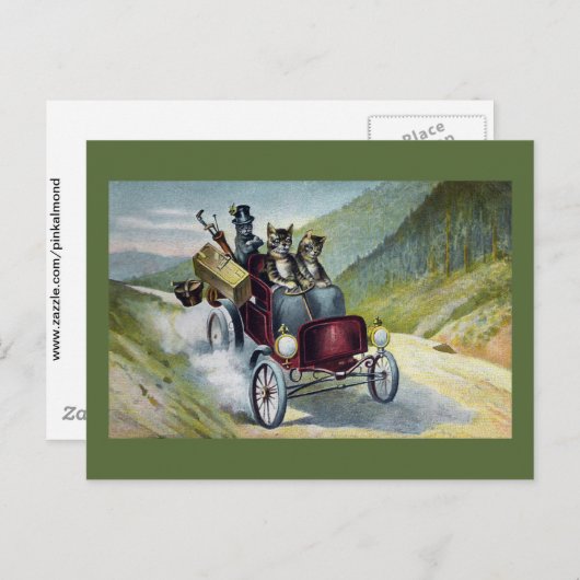 猫たちが猫たちと一緒に過ごす ポストカード (正面/裏面)