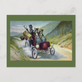 猫たちが猫たちと一緒に過ごす ポストカード (正面)