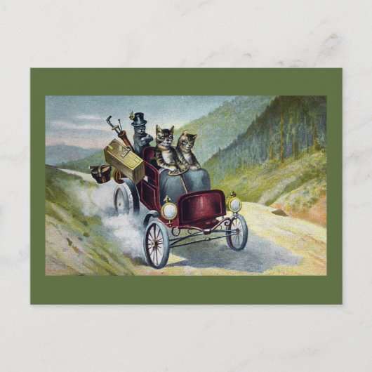 猫たちが猫たちと一緒に過ごす ポストカード (正面)