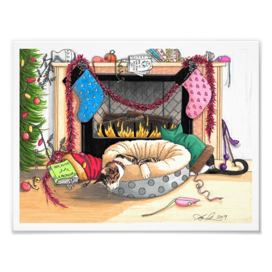 猫たちが目を覚ますから10分、12月25日 フォトプリント            (正面)