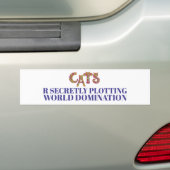 猫たちは秘密裏に世界征服を企てている バンパーステッカー (車上)