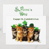 猫たちへのセントパトリックデーの招待状 招待状 (正面/裏面)