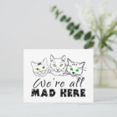 猫たち – みんな不機嫌 ポストカード (スタンド正面)