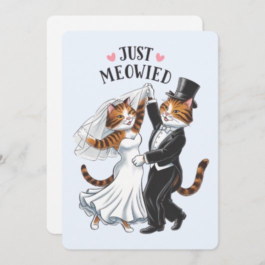 猫だけの結婚式　面白い　結婚した夫婦　猫　ファニー　ウェディング シーズンカード (正面/裏面)