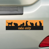 猫だけ バンパーステッカー (車上)