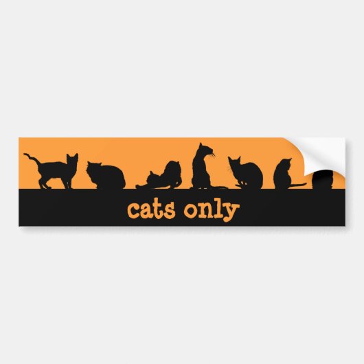 猫だけ バンパーステッカー (正面)