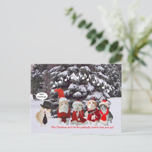 猫ちゃんがクリスマスキャロルを歌う シーズンポストカード (スタンド正面)