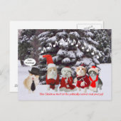 猫ちゃんがクリスマスキャロルを歌う シーズンポストカード (正面/裏面)