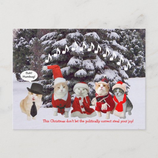 猫ちゃんがクリスマスキャロルを歌う シーズンポストカード (正面)