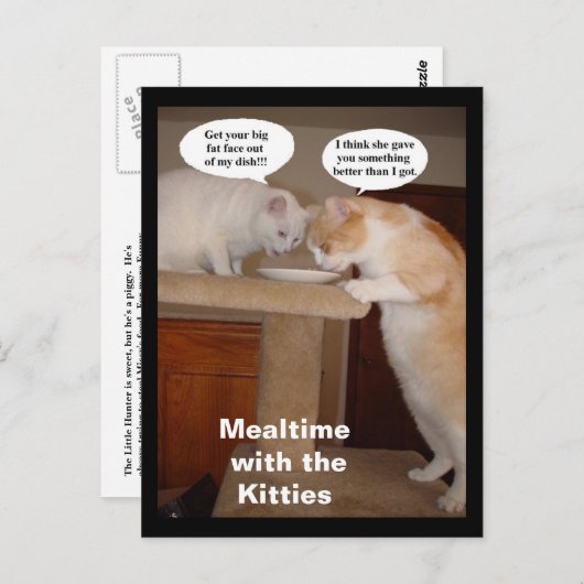 猫ちゃんとの時間 ポストカード (正面/裏面)