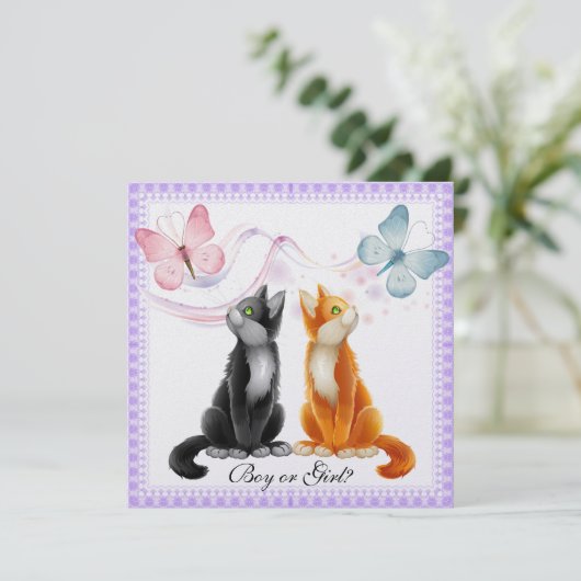 猫ちゃんと蝶ジェンダーがInvitaパーティーを明らかにする 招待状 (スタンド正面)