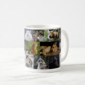 猫ちゃんどこでも コーヒーマグカップ (正面右)