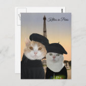 猫ちゃんズイン ポストカード (正面/裏面)