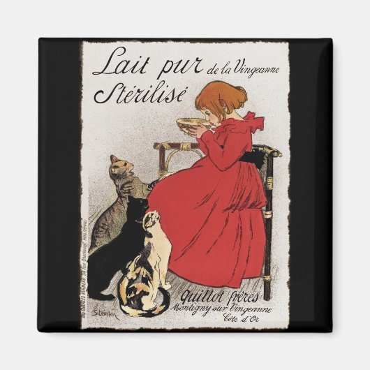 猫ちゃん用の牛乳のテスト マグネット (正面)