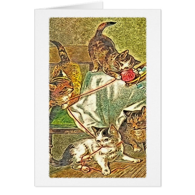 猫ちゃん (正面)