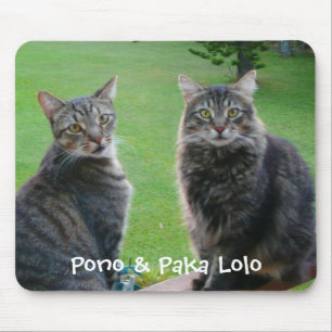 猫ちゃんPono及びPaka Lolo マウスパッド
