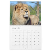 猫っぽいカレンダー カレンダー (1月 2026)