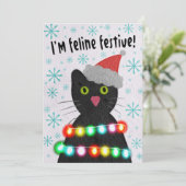 猫っぽい祭り気分だ シーズンカード (スタンド正面)