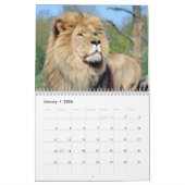 猫っぽい12ヶ月カレンダー カレンダー (1月 2026)