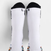 猫である ソックス (上部)