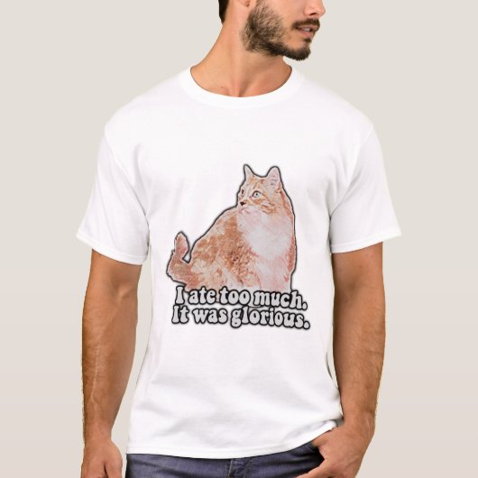 猫とおもしろい子猫好きのための不機嫌な猫ミーム Tシャツ (正面)