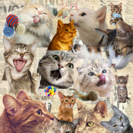 猫とおもちゃのコラージュ トートバッグ