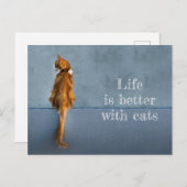 猫との暮らし/あらいぐまの写真 ポストカード (正面/裏面)