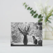 猫との静物生活 ポストカード (スタンド正面)