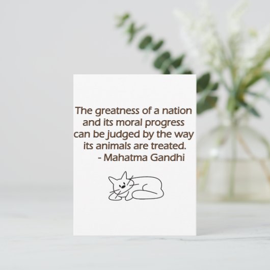 猫とのGandhi動物の引用文 ポストカード (スタンド正面)