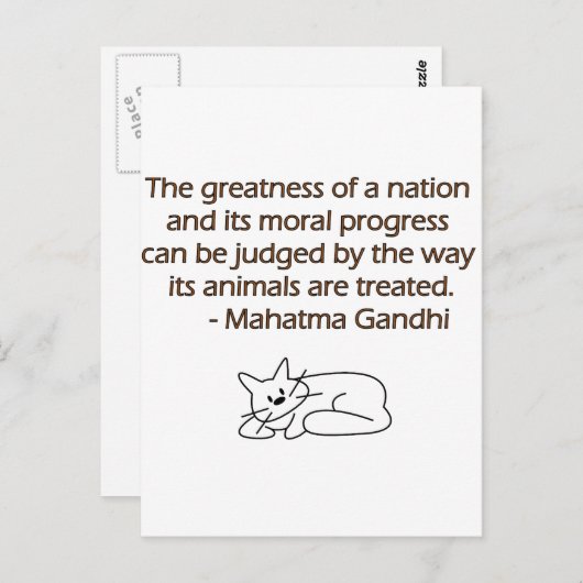 猫とのGandhi動物の引用文 ポストカード (正面/裏面)