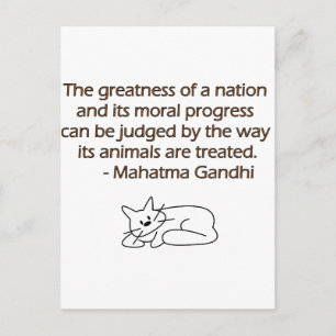 猫とのGandhi動物の引用文 ポストカード