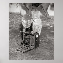 猫とカメラ、1936年 復古写真 ポスター
