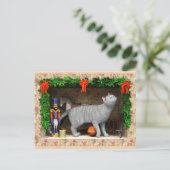 猫とクリスマスのもの ポストカード (スタンド正面)