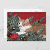 猫とクリスマスツリー シーズンポストカード (正面/裏面)