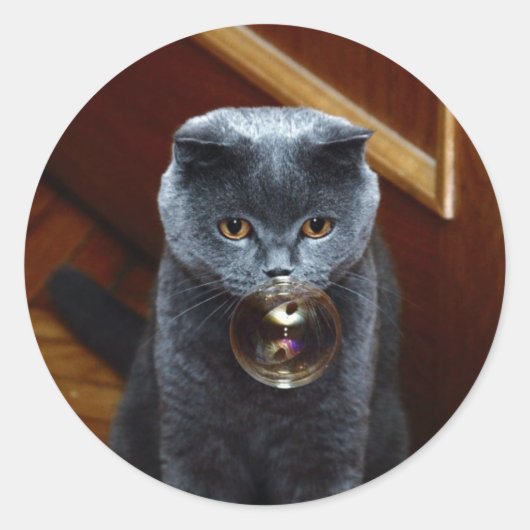 猫とシャボン玉 ラウンドシール (正面)