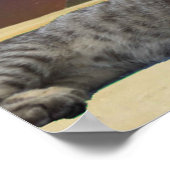 猫とスフィンクス ポスター (角)