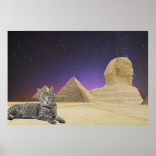 猫とスフィンクス ポスター