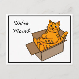 「猫とダンボール」引越しのお知らせ 新住所 案内ポストカード